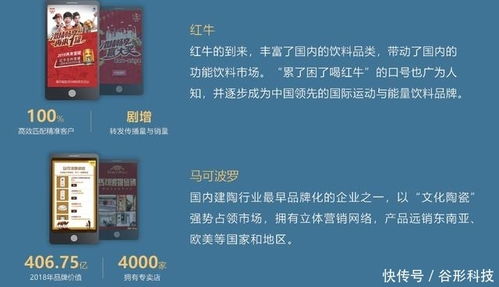 谷形科技 專業(yè)Java定制開發(fā)與營銷推廣服務(wù)，助力企業(yè)數(shù)字化升級